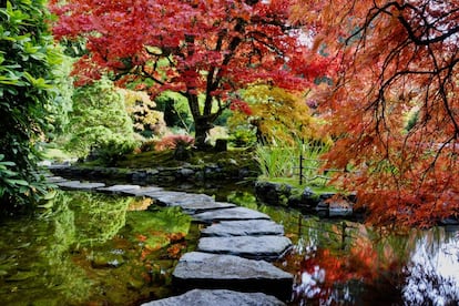 La cantidad y diversidad de plantas (más de un millón de ejemplares de 900 variedades de temporada) que albergan los <a href="https://www.butchartgardens.com/" target="">Jardines Butchart</a> hacen que su superficie de más de 22 hectáreas en Brentwood Bay (isla de Vancouver, Columbia Británica) esté ininterrumpidamente en flor de marzo a octubre. En verano, los visitantes disfrutan de todo el esplendor de peonías, iris o rosas. Este espacio colorido existe gracias a Jennie Butchart, quien a principios del siglo XX empezó a transformar, con sus propias manos, la cantera de caliza que había dejado de explotar su marido. El trabajo que comenzó ella lo realiza ahora un equipo de 50 jardineros.