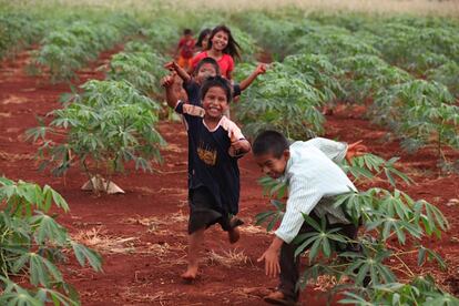 Crianças brincam em meio à plantação da aldeia Tekoha Nhu Verá.