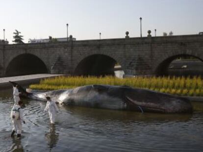 ‘Whale’, que recrea a una ballena varada, es una obra del colectivo Captain Boomer que pretende concienciar sobre los problemas ambientales del mundo