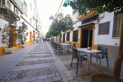 Fachada de la taberna La Sacrista, en Crdoba, que se investiga como posible foco de una intoxicacin alimentaria.