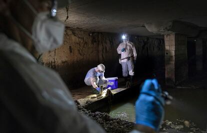 Los técnicos recogen muestras en el subterráneo de València.