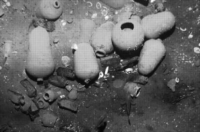 Ceramics belonging to the ‘San José’ at the bottom of the sea.