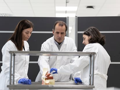 Cataluña impulsa una ley pionera para regular la donación de cuerpos a la ciencia