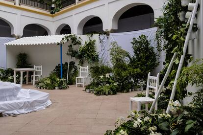 Un patio cordobés museizado en el proyecto de Lisa Waud para el Festival Flora 2019 (Córdoba).