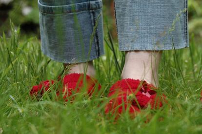 Así ve un humano unas zapatillas rojas sobre un jardín.