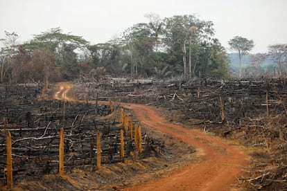 Una carretera ilegal hecha durante la deforestación de los llanos del Yarí, en Caquetá (Colombia), en 2021.