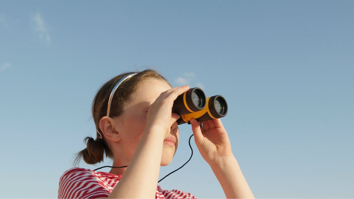 Si quieres ver el eclipse con prismáticos o telescopio también necesitas filtro: este es el más vendido