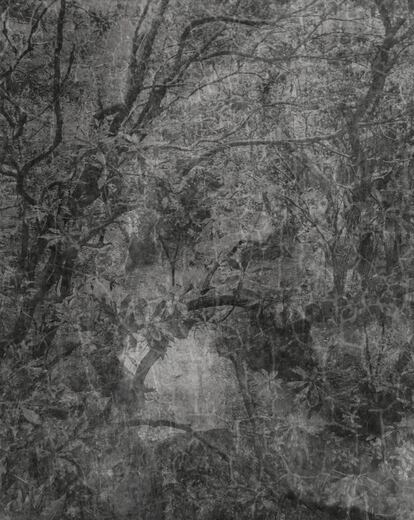 'Xian Guan IV', Wang Juyan, 2016.