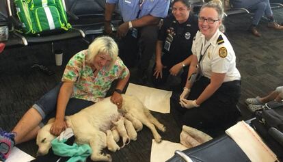 'Ellie' con su dueña y las personas que ayudaron en el parto en el aeropuerto de Tampa.