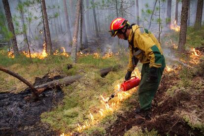 Un miembro de los equipos de extinción trabaja en la extinción del incendio siberiano.