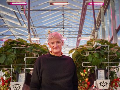 Sir Dyson in a high-tech greenhouse on one of his farms in Lincolnshire, England.