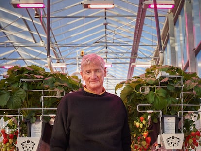 Sir James Dyson en un invernadero de una de sus granjas de alta tecnología, en Lincolnshire, Inglaterra.