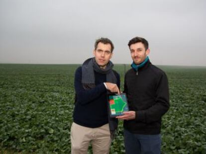 La empresa SatAgro genera mapas que muestran la dosis óptima de fertilizante para las plantas