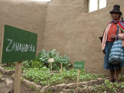 Pascuala Trujillo muestra su ‘fitotoldo’ con los espacios separados para los diferentes cultivos de verduras y hortalizas.