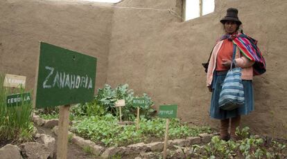 Pascuala Trujillo muestra su ‘fitotoldo’ con los espacios separados para los diferentes cultivos de verduras y hortalizas.