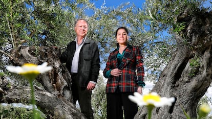 Francisco y Rosa Vañó, propietarios de Castillo de Canena, en el olivar que la familia tiene en Úbeda (Jaén)