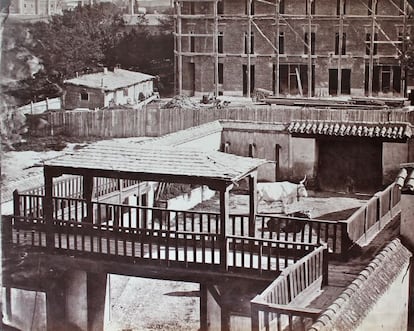 83 fotografías del galés Charles Clifford, uno de los pioneros del arte de la imagen en España, saldrán a subasta el 15 de abril en la sala Blaclis de Barcelona. Una de esas instantáneas es 'Corrales de toros de la puerta de Alcalá', en Madrid, de aproximadamente 1858. Las fotos por las que se pujará fueron realizadas por el artista entre 1853 y 1863. Centros como el Met y el MoMA neoyorquinos, el Victoria & Albert Museum londinense, el Museo de Orsay, en París, y el Prado o el Reina Sofía en Madrid poseen obras de Clifford.