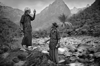 Los socotríes parecen vivir ajenos al tiempo y conservan tradiciones preislámicas.
