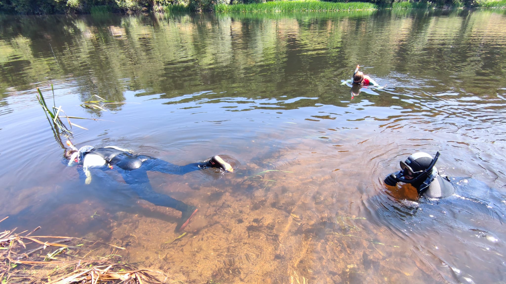 La mayor mudanza de mejillones de río en España: 14.000 moluscos son trasladados entre zancadillas políticas