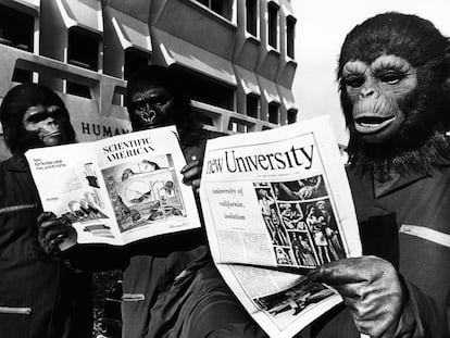Several actors from the 1972 'Conquest of the Planet of the Apes' read the scientific news on the set.