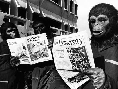 Varios actores de la película 'La conquista del planeta de los simios' leen la prensa científica con máscaras de mono, durante el rodaje de la película en 1972.