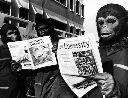 Varios actores de la película 'La conquista del planeta de los simios' leen la prensa científica con máscaras de mono, durante el rodaje de la película en 1972.