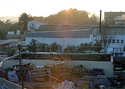 Vista parcial del matadero de Alicante, en la zona por donde se vierten los residuos, en una imagen captada ayer.