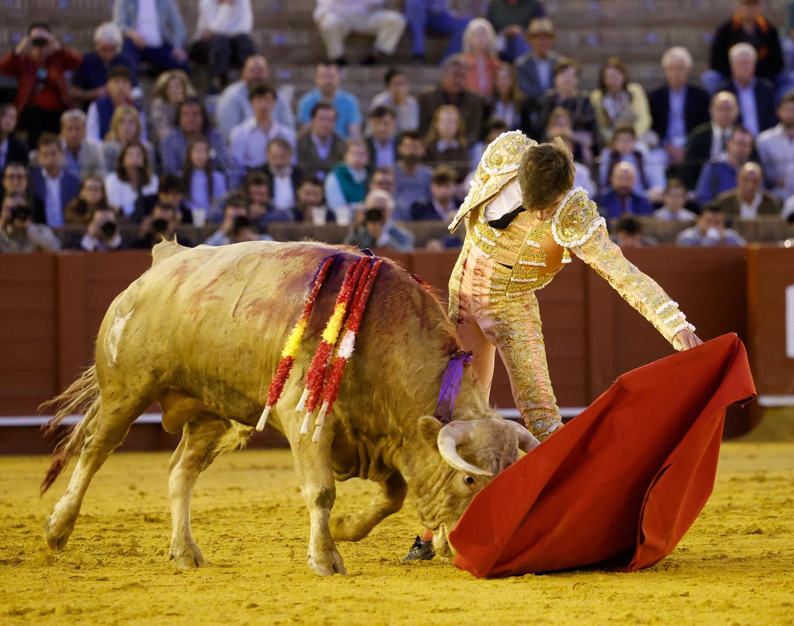 Bondadosas sardinitas