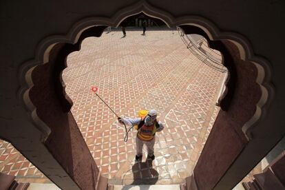 Un empleado desinfecta las instalaciones de una mezquita, en Peshawar (Pakistán).