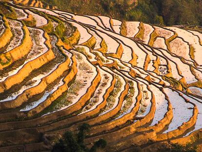 Las increíbles terrazas de arroz de Yuanyang