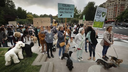 Un moment de la marxa procanina a la plaça de Francesc Macià.