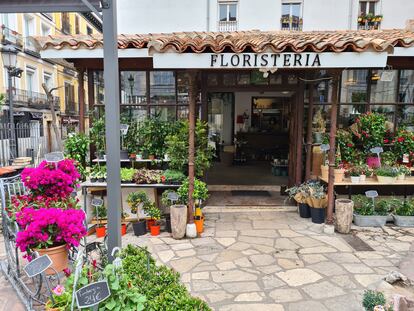 El Ángel del Jardín es la última etapa de esta floristería histórica del barrio de Las Letras. 