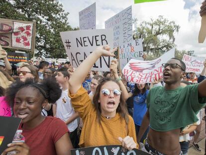 La protesta contra las armas en el Congreso de Florida este mi&eacute;rcoles.