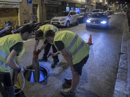 Técnicos de control de plagas inspeccionan una alcantarilla.