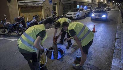 Técnicos de control de plagas inspeccionan una alcantarilla.