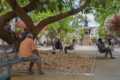 Peatonalización del centro histórico de Ibiza (Paseo Vara de Rey, Plaza del Parque y Sotamuralla), 2017.