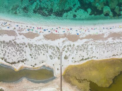 Posidonia frente a la playa de Mari Ermi en el área protegida de la península del Sinis.