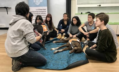 Un grupo de alumnas participan en la terapia asistida con perros en la Facultad de Educación de la Universidad Complutense.