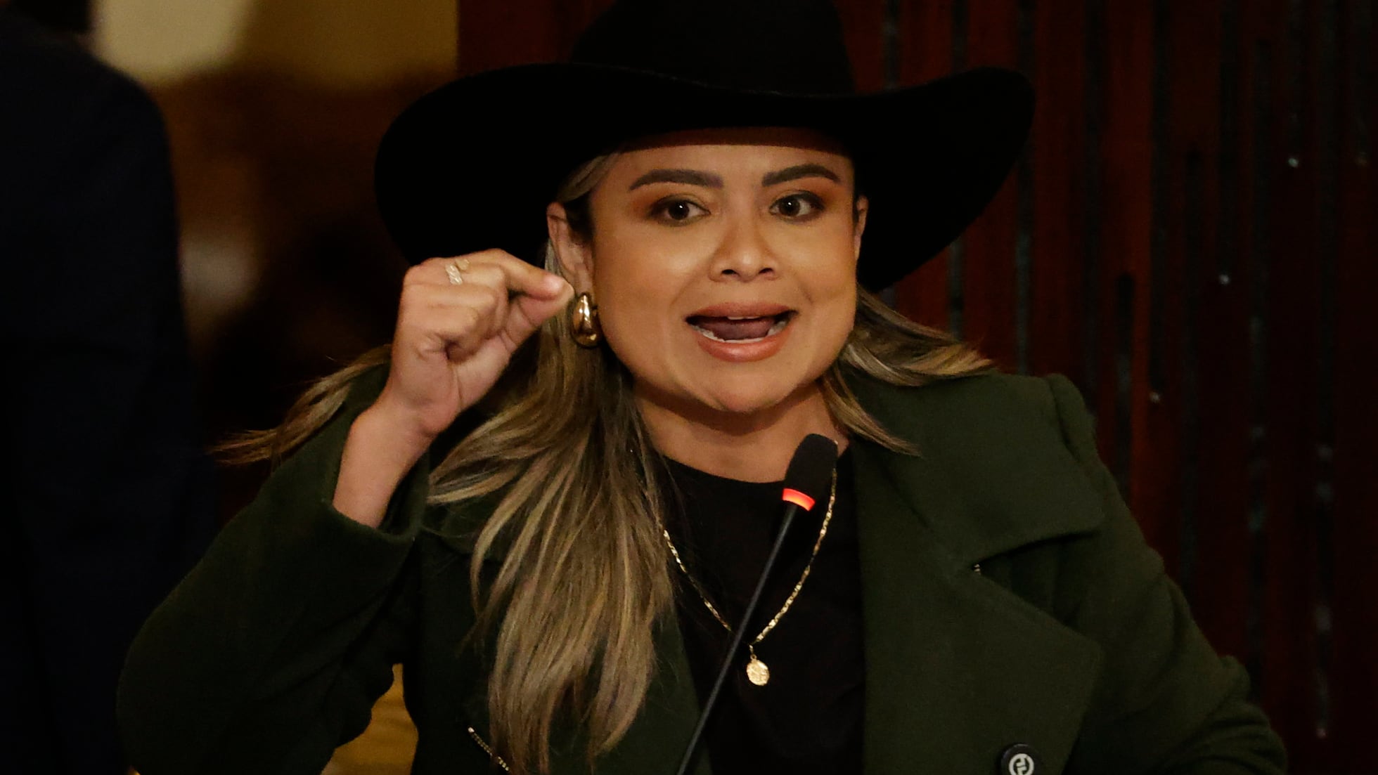 Lina María Garrido, la congresista que detonó la furia de Petro: “No acepta que desenmascare su engaño” | EL PAÍS América Colombia