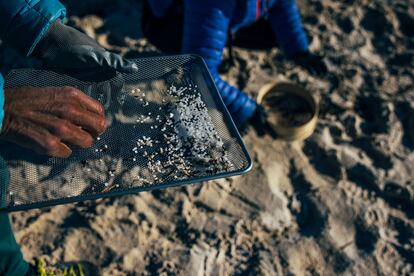 'Pellets' de plástico que han sido separados de la arena durante una limpieza llevada a cabo por voluntarios, el domingo en la playa de Area Maior, en Muros (A Coruña). 