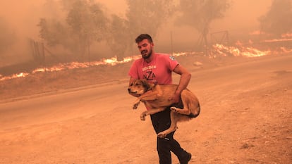 Grecia Incendio