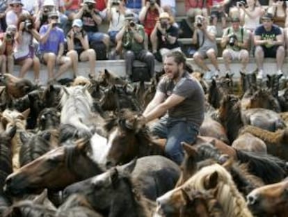 Un "aloitador" (persona que lucha con las bestias para cortarle las crines), hoy en la segunda jornada de la "Rapa das Bestas" de Sabucedo (Pontevedra), una fiesta declarada de interés turístico internacional en la que se trata de rapar las crines a los caballos que viven en estado salvaje en los montes gallegos y la bravura de los hombres y mujeres se mide con la de manadas de equinos en una lucha a cuerpo.