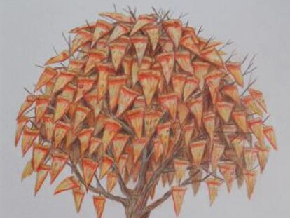 'El árbol de la pizza'.