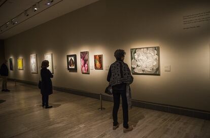 Hija de una familia de granjeros de Wisconsin y segunda de siete hermanos, Georgia estudió en el Instituto de Arte de Chicago y la Liga de Estudiantes de Arte de Nueva York. En la imagen, varios visitantes contemplan obras de la exposición.