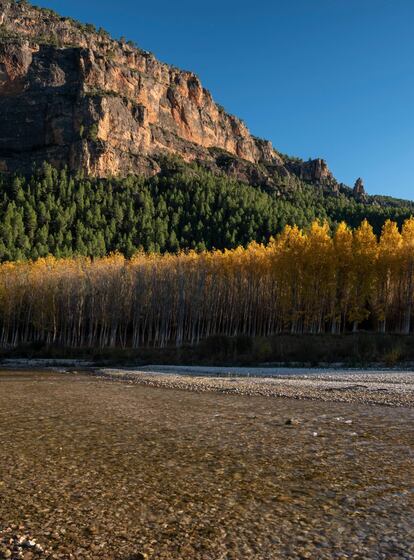 Among the foothills of the mountain ranges of Alcaraz and Segura, in southwest Albacete, the autumn charms of the natural park of Los Calares del Mundo y de la Sima go well beyond the famous river source known as Chorros del río Mundo. There are the colors of the gallery forests running along other rivers in the area, including the Segura, Zumeta, Taibilla and Bogarra. And there is the remote forest of Torca de los Melojos, which is accessible from the starting point of Fuente de las Raigadas, in Riópar. The trail is between seven and eight kilometers in total, and cuts through pine, holly, maple, kermes oak and yew. Inside the 'torca,' which is a circular depression in the land with steep sides, there is a singular oak grove with ancient specimens that manage to survive because of the high humidity content. For more information: areasprotegidas.castillalamancha.es and turismosierradelsegura.es