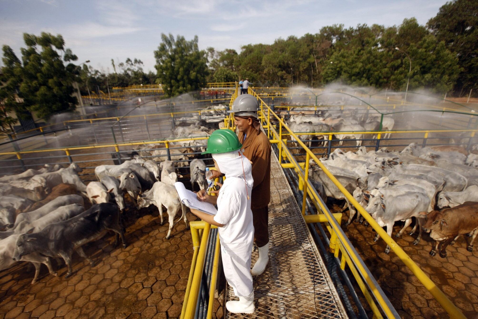 Empleados de una cárnica de Xinguara, en Pará.