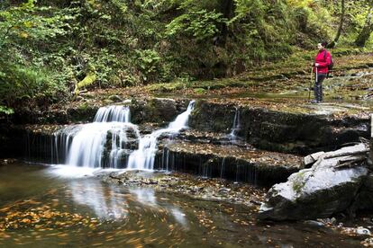 The Palombera pass is the crowning glory of the forests of the Saja River in the fall. The ancient woodlands hide a maze of paths traditionally used by mountain dwellers, who left their valleys to occupy the lands of Castile, retaken in the year 1,000 AD. The photo shows the waterfalls at the Pozo de la Arbencia inside Saja-Besaya Natural Park.