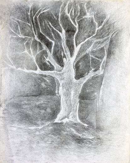 Árbol blanco, 1979.