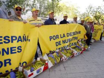 Manifestación de la Asociación de Productores de Plátanos de Canarias (ASPROCAN) ante el Ministerio de Industria, Turismo y Comercio, en Madrid. EFE/Archivo