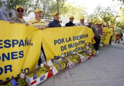 Manifestación de la Asociación de Productores de Plátanos de Canarias (ASPROCAN) ante el Ministerio de Industria, Turismo y Comercio, en Madrid. EFE/Archivo